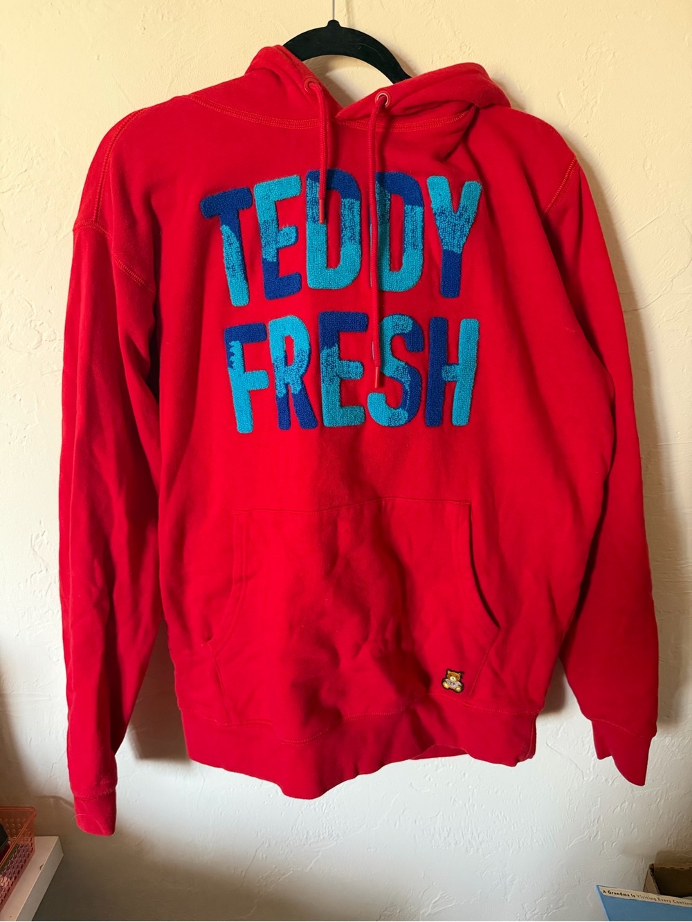 Teddy Fresh Red Hoodie with Blue Chenille Detail